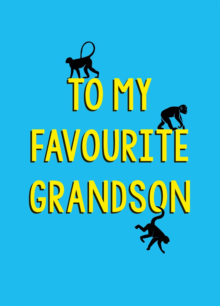 To My Favourite Grandson Card