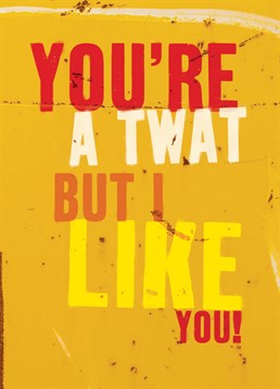 Twat But I Like You. General Greeting Anniversary card by Brainbox Candy. Send this Anniversary card to someone who you like, even though they can be a bit of a doughnut sometimes.