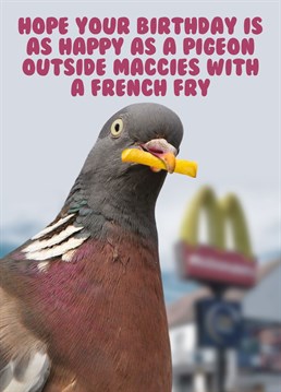 This wish to be 'happy as a pigeon outside Maccies with a french fry' is so relatable and a great Birthday wish. From the new kids on the humour block fockcards.com this really is 'funny as fock'