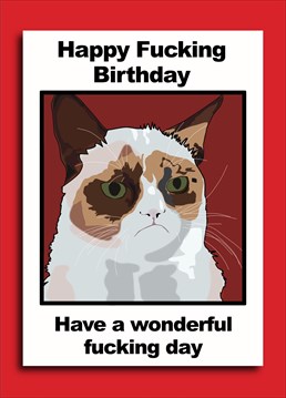 Grumpy cat is grumpy but he is polite enough to wish you a Happy Fucking Birthday.