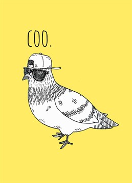 Send this Jolly Awesome Birthday card to someone who thinks they're as cool as this pigeon.
