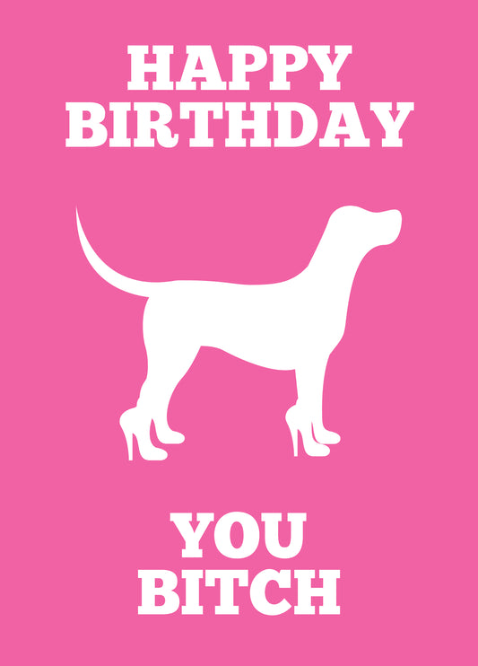 Happy Birthday You Bitch Card
