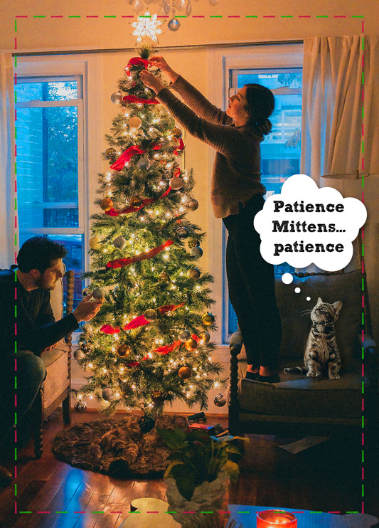 Patience Mittens... Patience