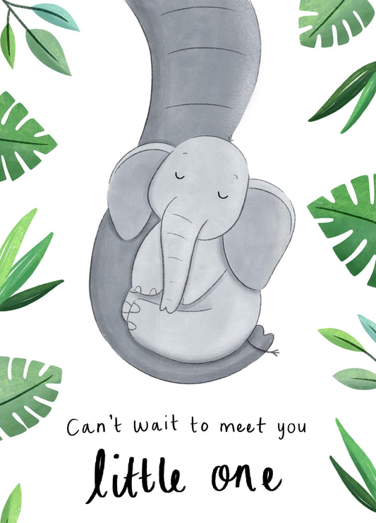 Can Wait To Meet You Little One Card