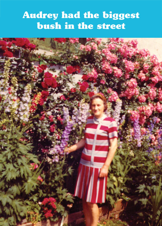 Audrey Biggest Bush In The Street Card