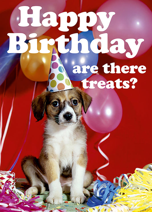 Happy Birthday, Are There Treats?
