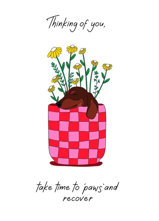 Get Well Soon Card - Paws And Relax - Recovery