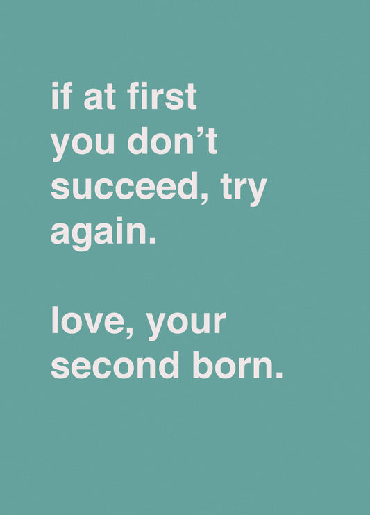"If At First You Don't Succeed, Try Again. Love Your Second Born"