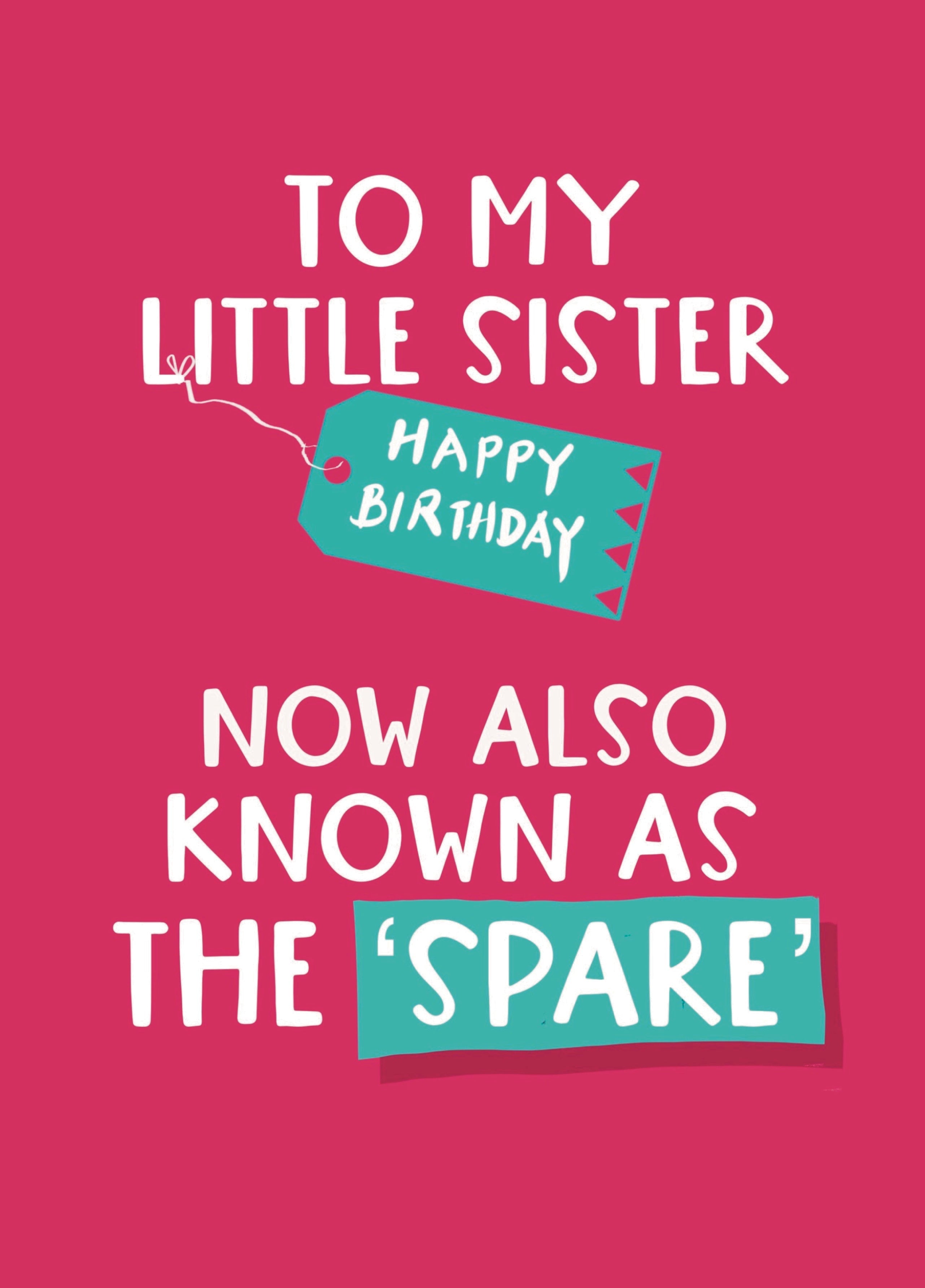 Little Sister Birthday Funny Happy Birthday Little Sister Funny Funny  Birthday Wishes For Your, image size:2563x3567