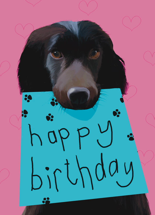 Happy Birthday Spaniel Card
