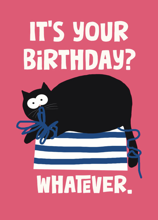 Sarcastic Cat Whatever Birthday Card