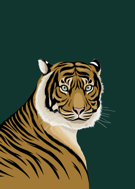 Jungle Tiger
