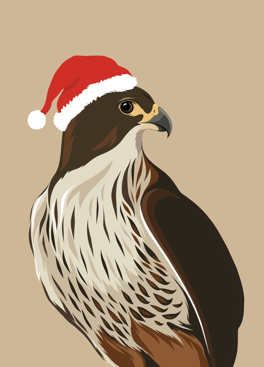 Christmas Falcon