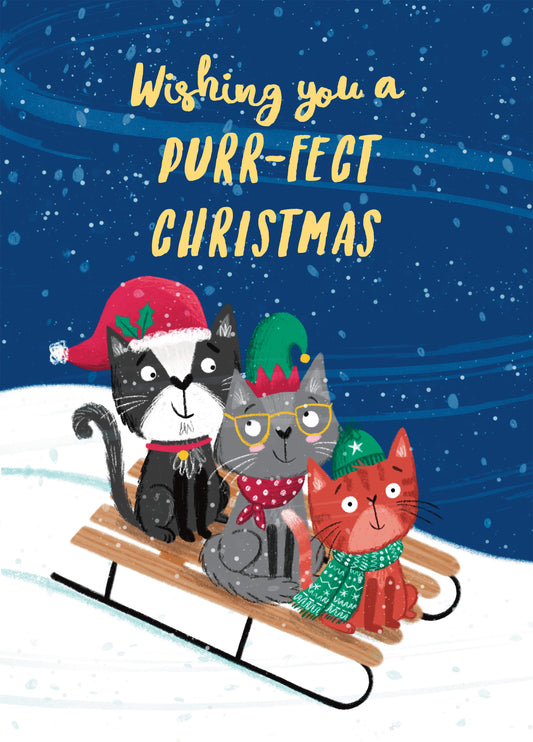 Sledging Cats Christmas Card