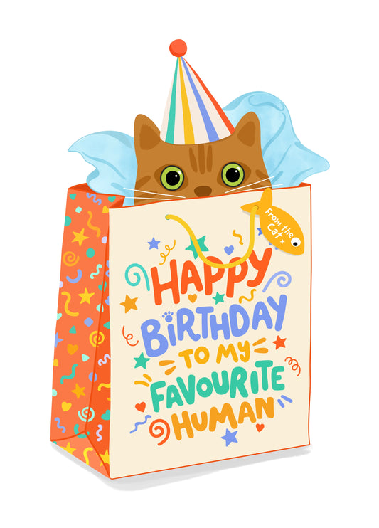 Happy Birthday Favourite Human, From The Cat.