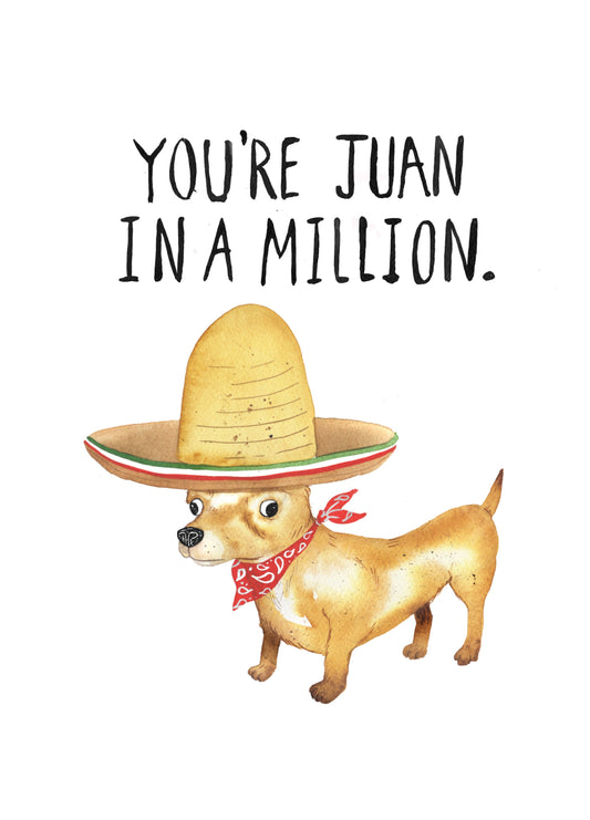 You're Juan In A Million Card
