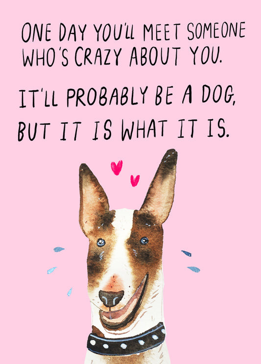 Crazy About Dogs Card
