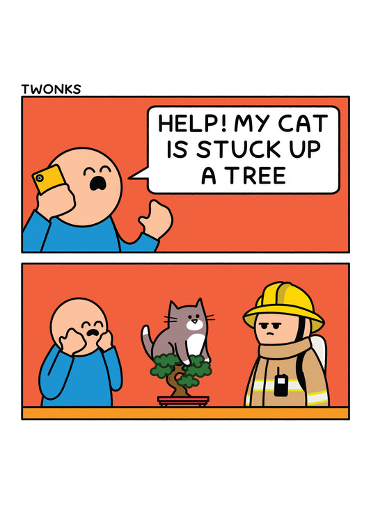 Cat Stuck Up A Tree