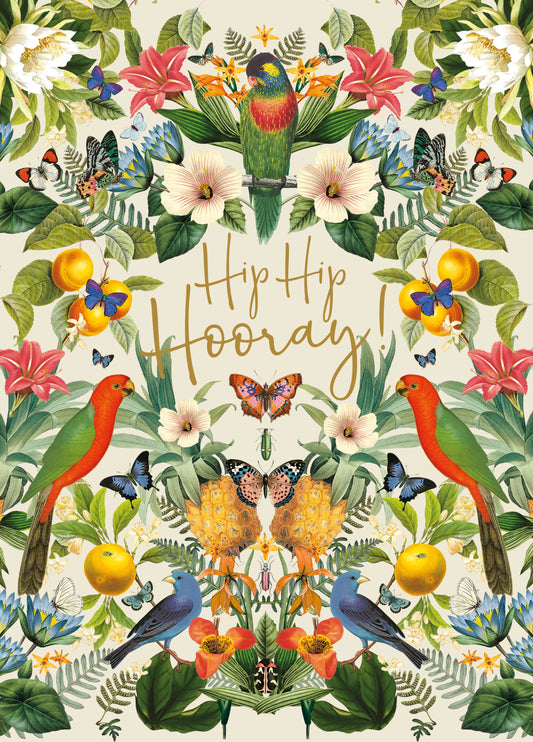 Hip Hip Hooray Card