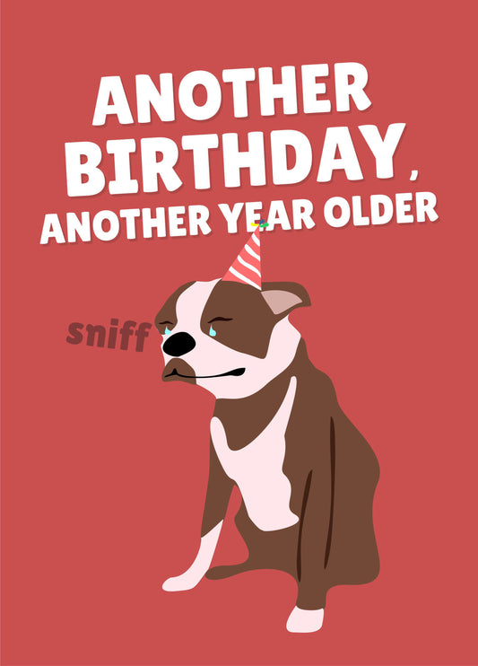 Another Birthday, Another Year Older Card