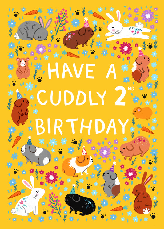 Cute Birthday Card - 2nd Birthday - Cuddly Pets