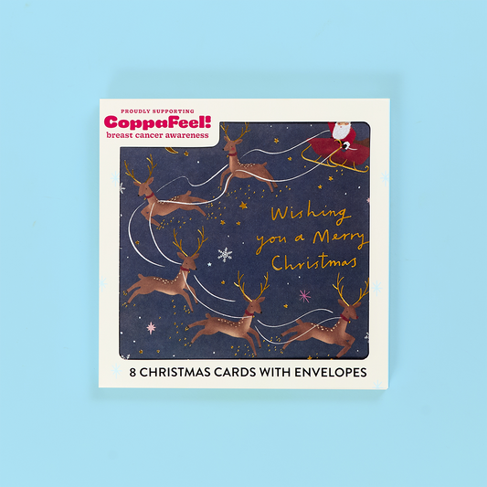 Santa's Sleigh Xmas Charity Card Pack