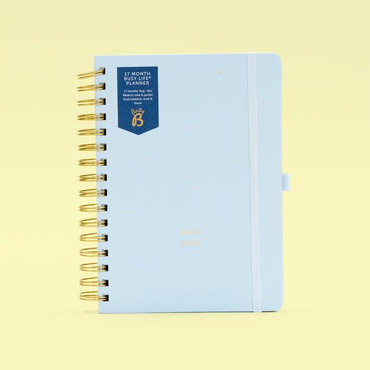 17 Month Blue Planner
