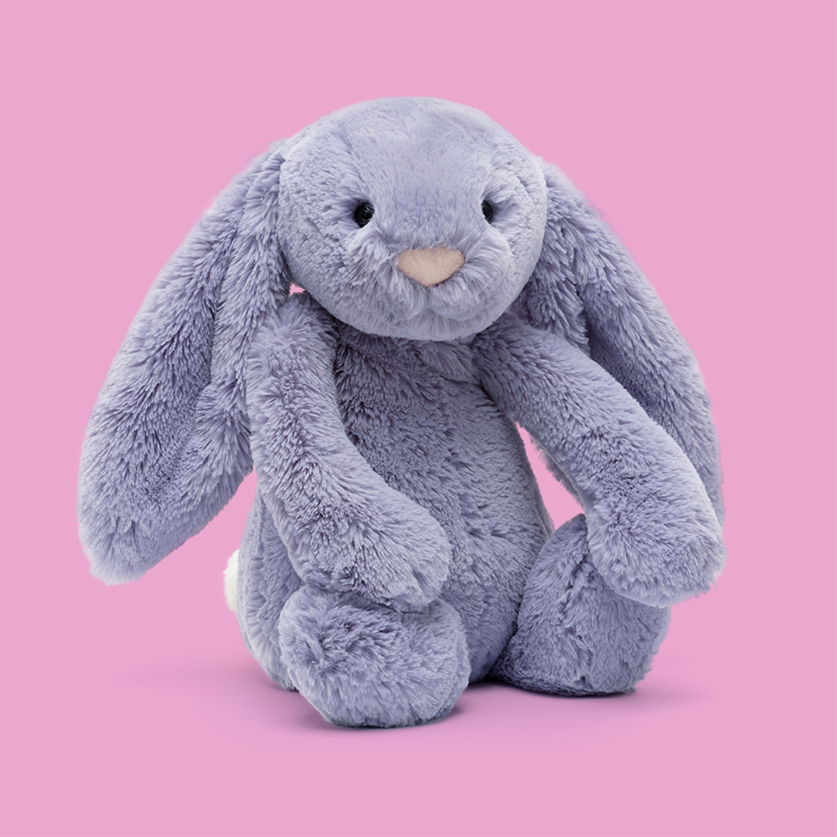 　little Bashful viola Bunny うさぎ Bashful Viola Bunny - Official Jellycat