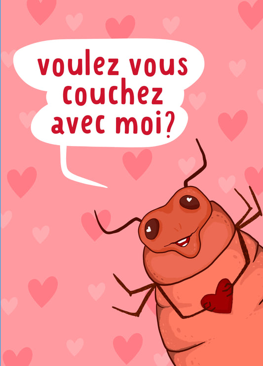 Bed Bug Birthday Card - Voulez Vous Couchez Avec Moi