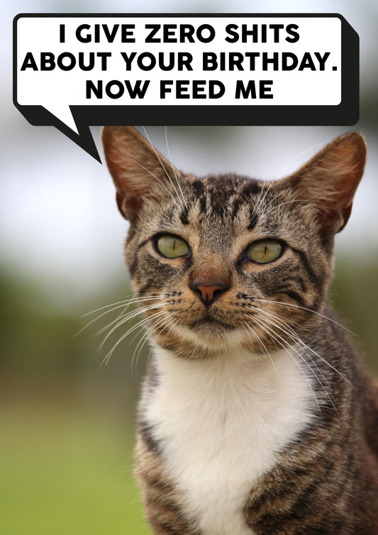 Give Zero Shits About Your Birthday Card