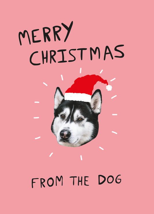 Merry Christmas From The Dog Card