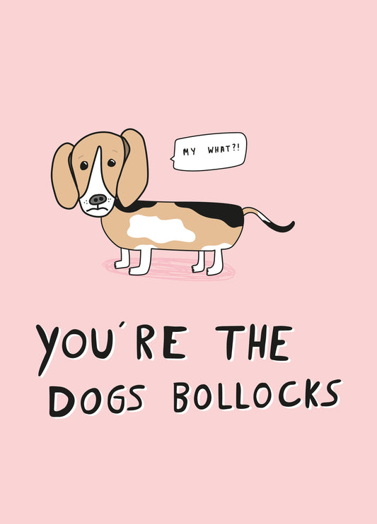 Dogs Bollocks Thank You Card