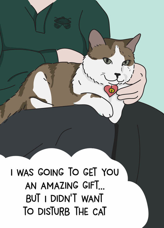 Didn't Want To Disturb The Cat Birthday Card