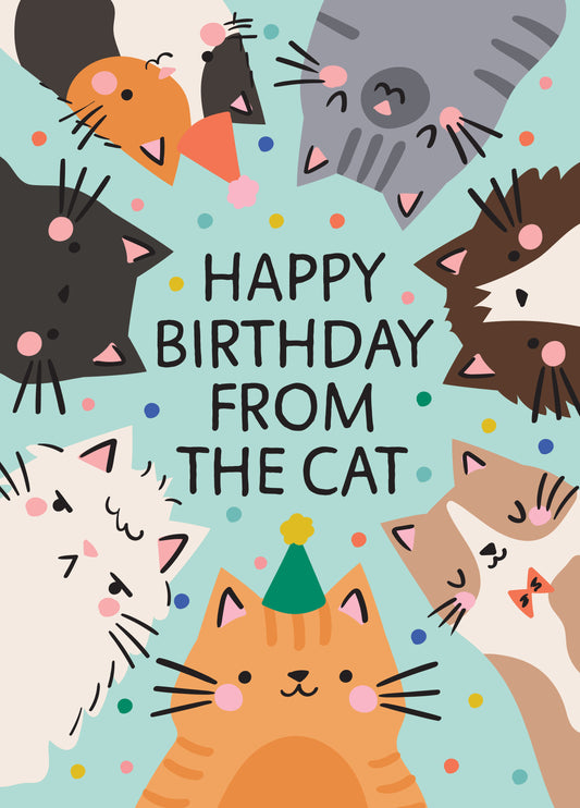 From The Cat Birthday Card