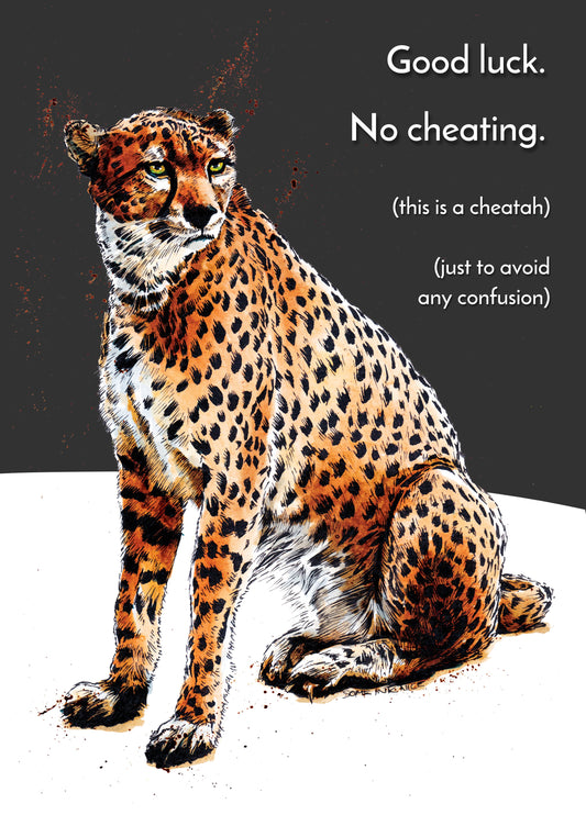 No Cheating Card