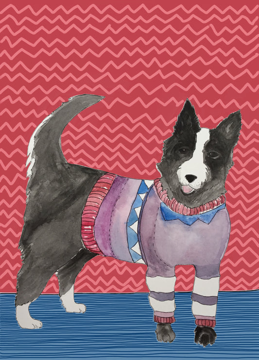 Border Collie In A Stripy Jumper