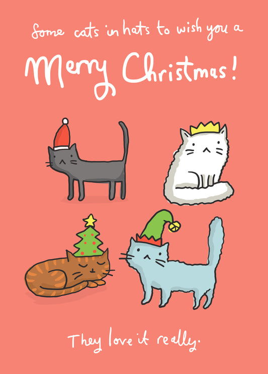 Cats In Hats Christmas Card