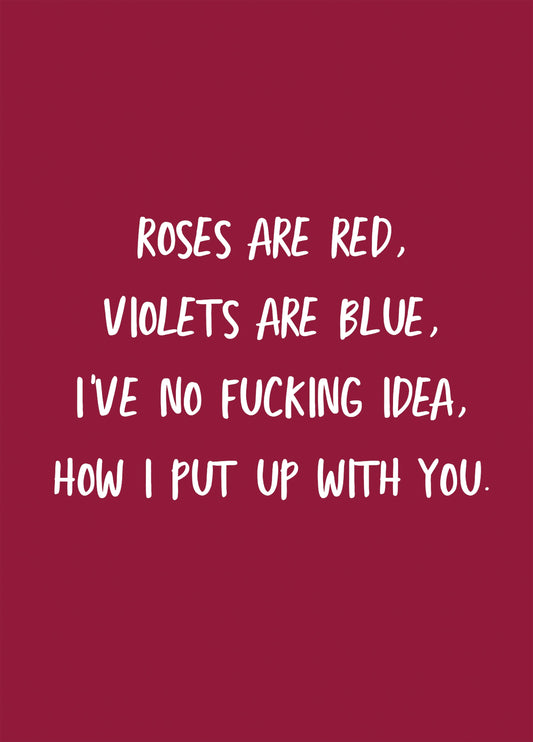 No Fucking Idea How I Put Up With You Card