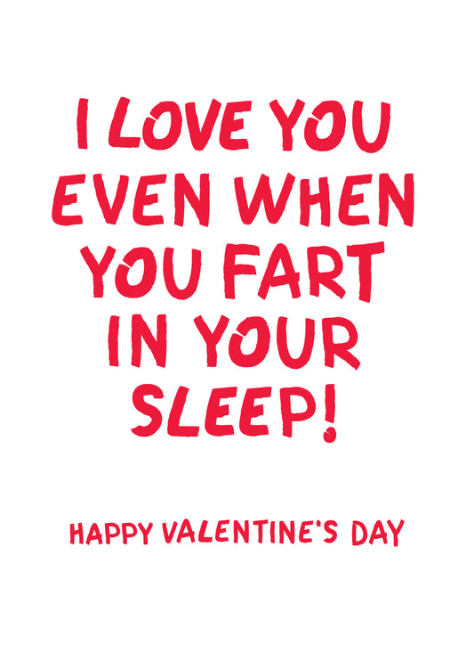 I Love You Even When You Fart In Your Sleep Card
