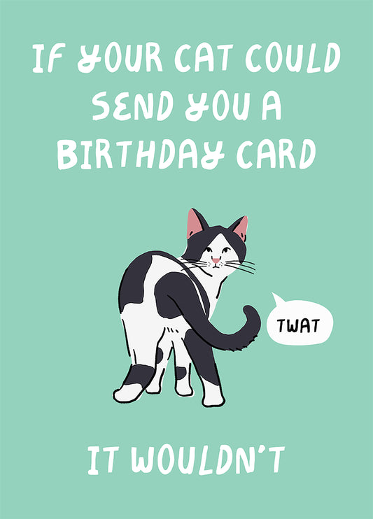 If Your Cat Could It Wouldn't Birthday