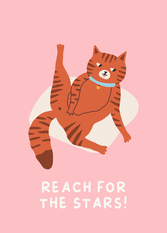 Reach For The Stars!