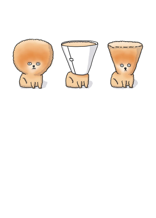 Dog Cone Hair Card