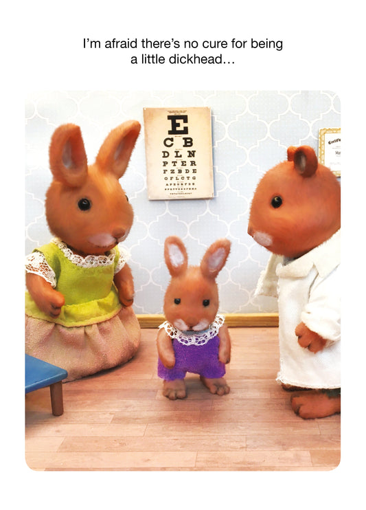 No Cure For A Little Dickhead Card