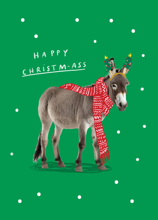 Festive Donkey Christm-ass Card