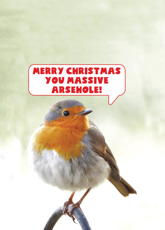 Massive Arsehole Robin Christmas Card