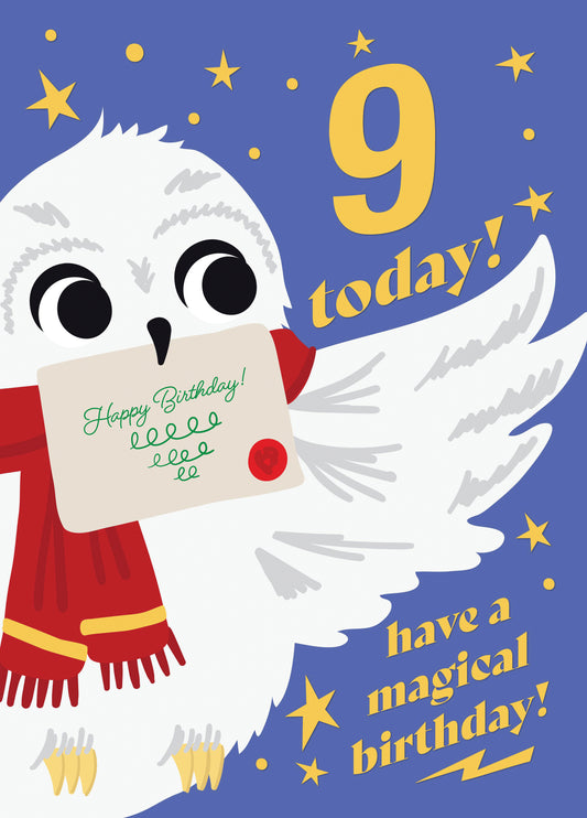 Magical Owl 9th Birthday Card