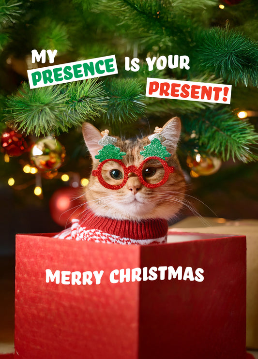 Festive Cat Presence Christmas Card