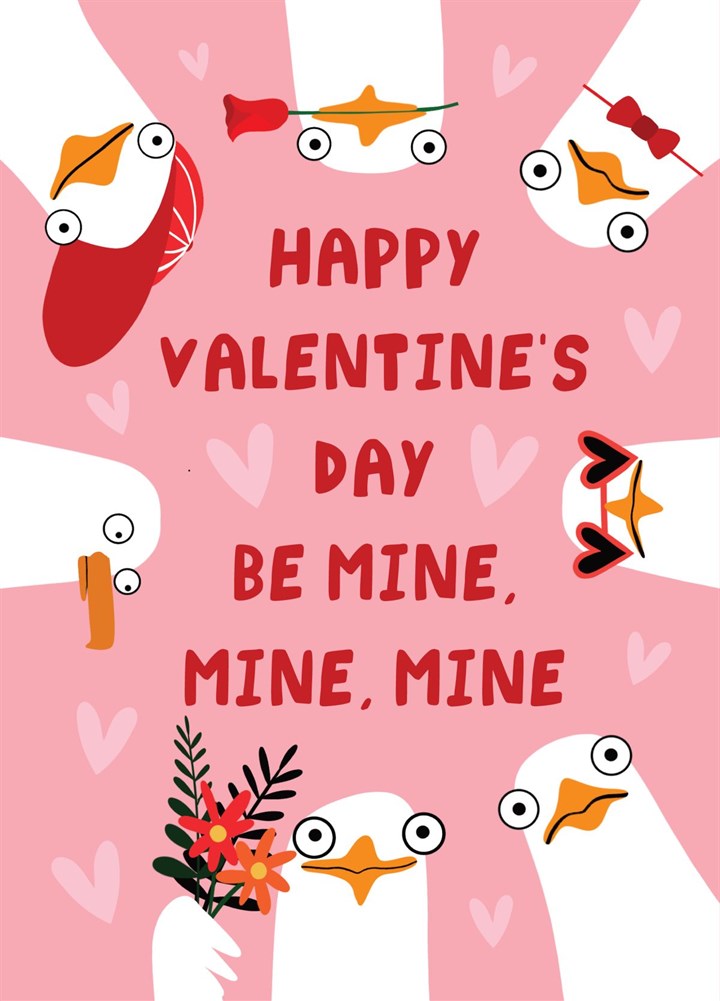Seagull Valentine's Day Card