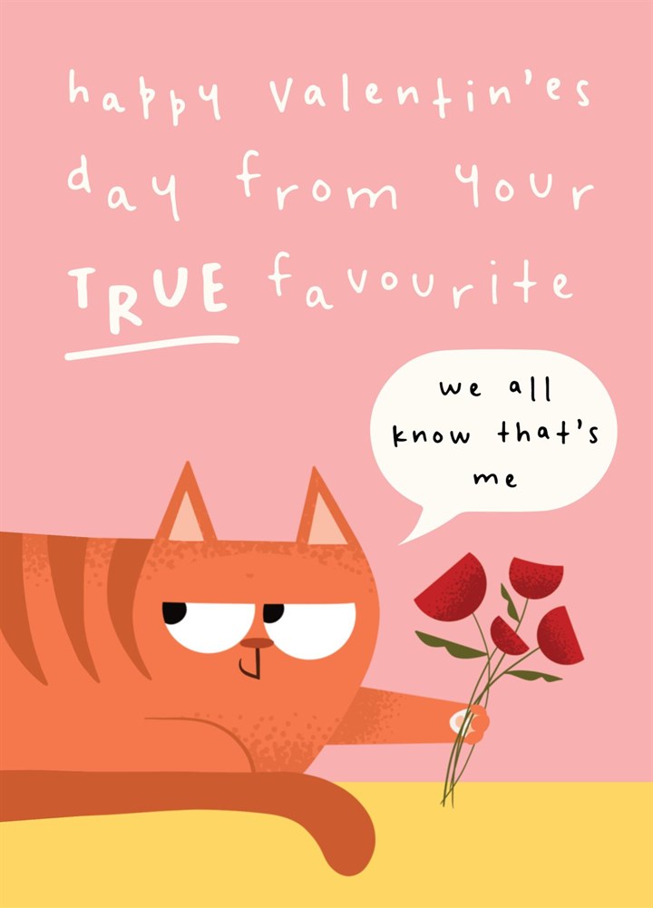 Funny Valentine's Day Card From The Cat