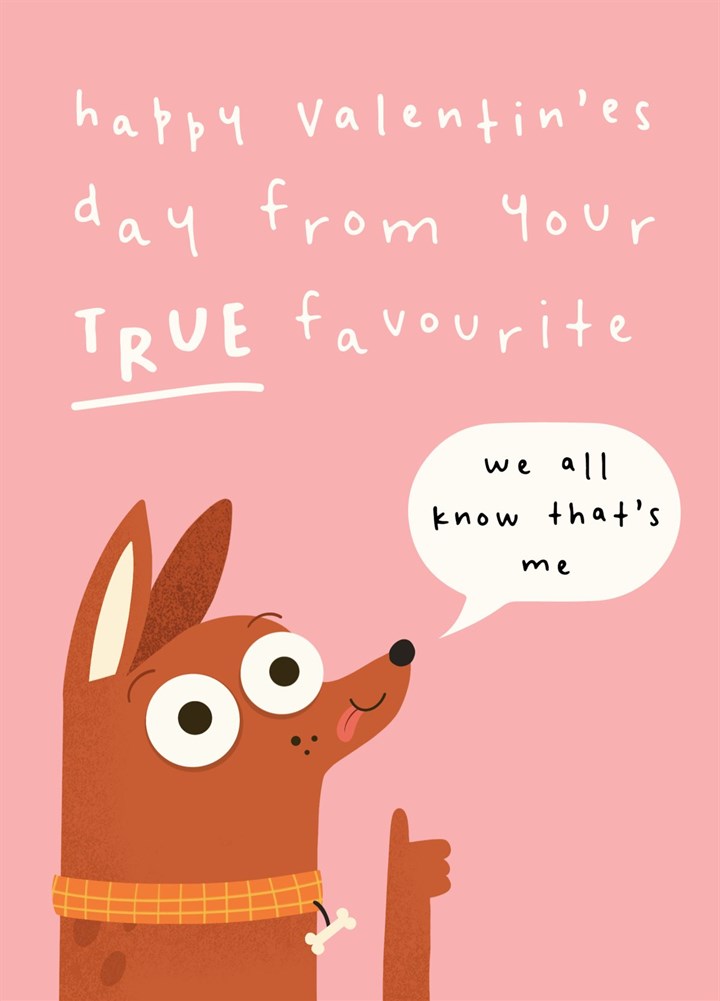 Funny Valentine's Day Card From The Dog